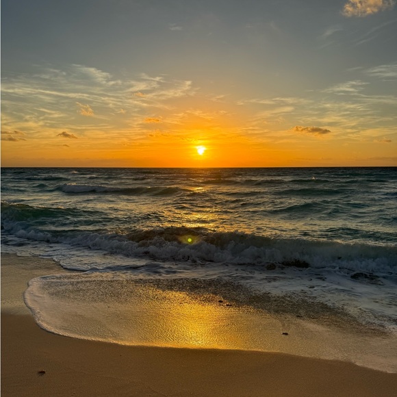 Meet your Posher, Ava - Picture 1 of 1